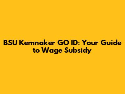 BSU Kemnaker GO ID: Your Guide to Wage Subsidy