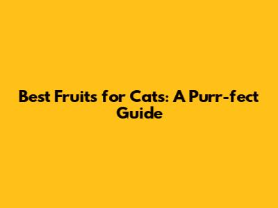 Best Fruits for Cats: A Purr-fect Guide