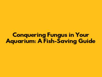 Conquering Fungus in Your Aquarium: A Fish-Saving Guide