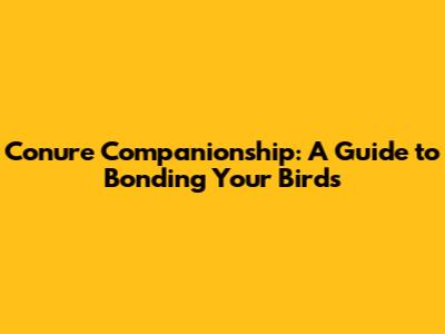 Conure Companionship: A Guide to Bonding Your Birds