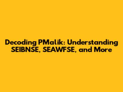 Decoding PMalik: Understanding SEIBNSE, SEAWFSE, and More