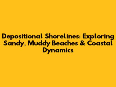 Depositional Shorelines: Exploring Sandy, Muddy Beaches & Coastal Dynamics