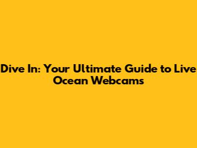 Dive In: Your Ultimate Guide to Live Ocean Webcams