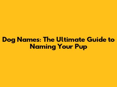 Dog Names: The Ultimate Guide to Naming Your Pup