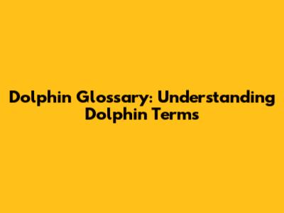 Dolphin Glossary: Understanding Dolphin Terms