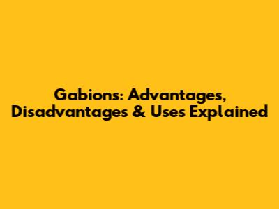 Gabions: Advantages, Disadvantages & Uses Explained