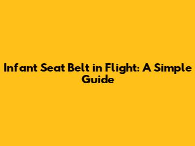 Infant Seat Belt in Flight: A Simple Guide