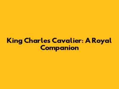 King Charles Cavalier: A Royal Companion