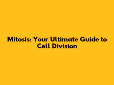 Mitosis: Your Ultimate Guide to Cell Division