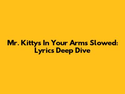 Mr. Kitty's 'In Your Arms' Slowed: Lyrics Deep Dive