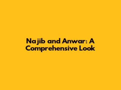 Najib and Anwar: A Comprehensive Look