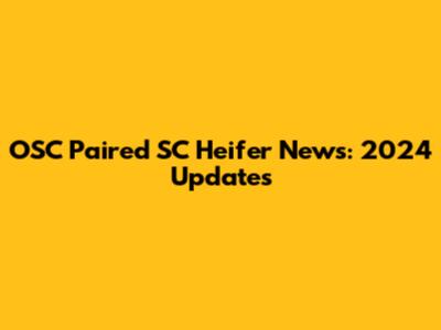 OSC Paired SC Heifer News: 2024 Updates