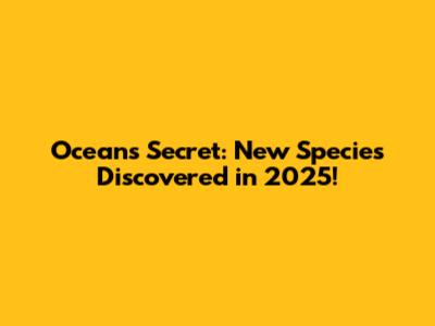 Ocean's Secret: New Species Discovered in 2025!