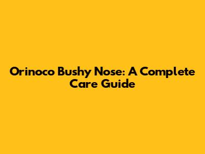 Orinoco Bushy Nose: A Complete Care Guide