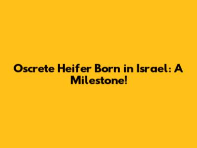 Oscrete Heifer Born in Israel: A Milestone!