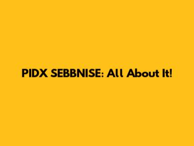 PIDX SEBBNISE: All About It!