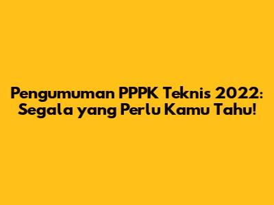 Pengumuman PPPK Teknis 2022: Segala yang Perlu Kamu Tahu!