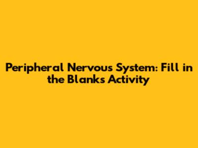 Peripheral Nervous System: Fill in the Blanks Activity