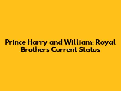 Prince Harry and William: Royal Brothers' Current Status