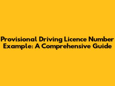 Provisional Driving Licence Number Example: A Comprehensive Guide