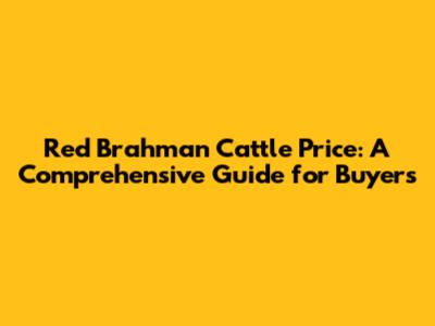 Red Brahman Cattle Price: A Comprehensive Guide for Buyers