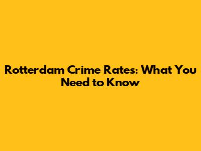 Rotterdam Crime Rates: What You Need to Know