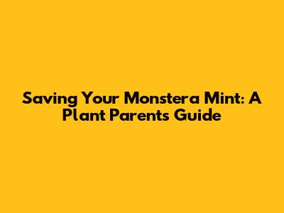 Saving Your Monstera Mint: A Plant Parent's Guide