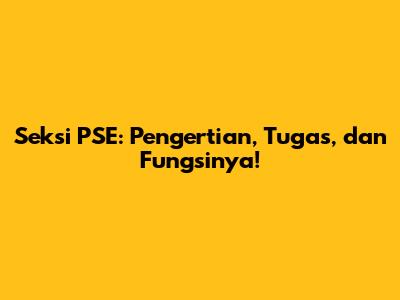 Seksi PSE: Pengertian, Tugas, dan Fungsinya!