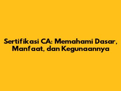 Sertifikasi CA: Memahami Dasar, Manfaat, dan Kegunaannya