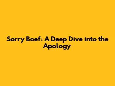 Sorry Boef: A Deep Dive into the Apology