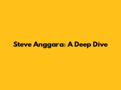 Steve Anggara: A Deep Dive