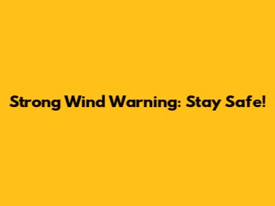 Strong Wind Warning: Stay Safe!