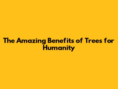 The Amazing Benefits of Trees for Humanity