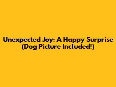 Unexpected Joy: A Happy Surprise (Dog Picture Included!)