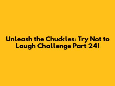 Unleash the Chuckles: Try Not to Laugh Challenge Part 24!