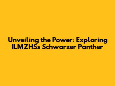 Unveiling the Power: Exploring ILMZHS's 'Schwarzer Panther'