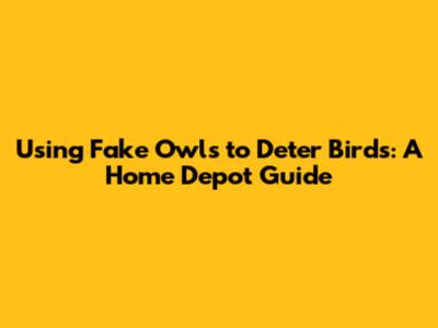 Using Fake Owls to Deter Birds: A Home Depot Guide