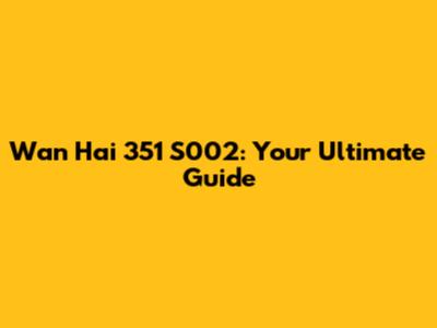 Wan Hai 351 S002: Your Ultimate Guide