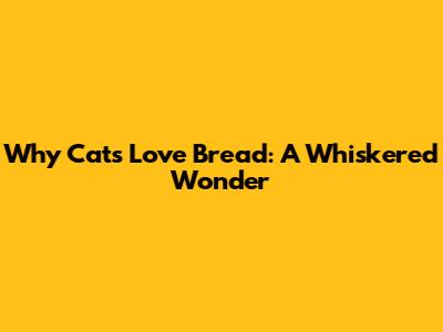 Why Cats Love Bread: A Whiskered Wonder