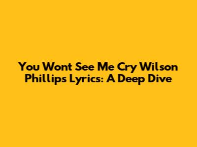 You Won't See Me Cry Wilson Phillips Lyrics: A Deep Dive